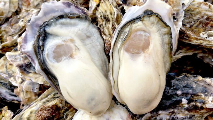 美味しい牡蠣がいつでも食べれる。宮城県産牡蠣の出荷基地～和がき～
